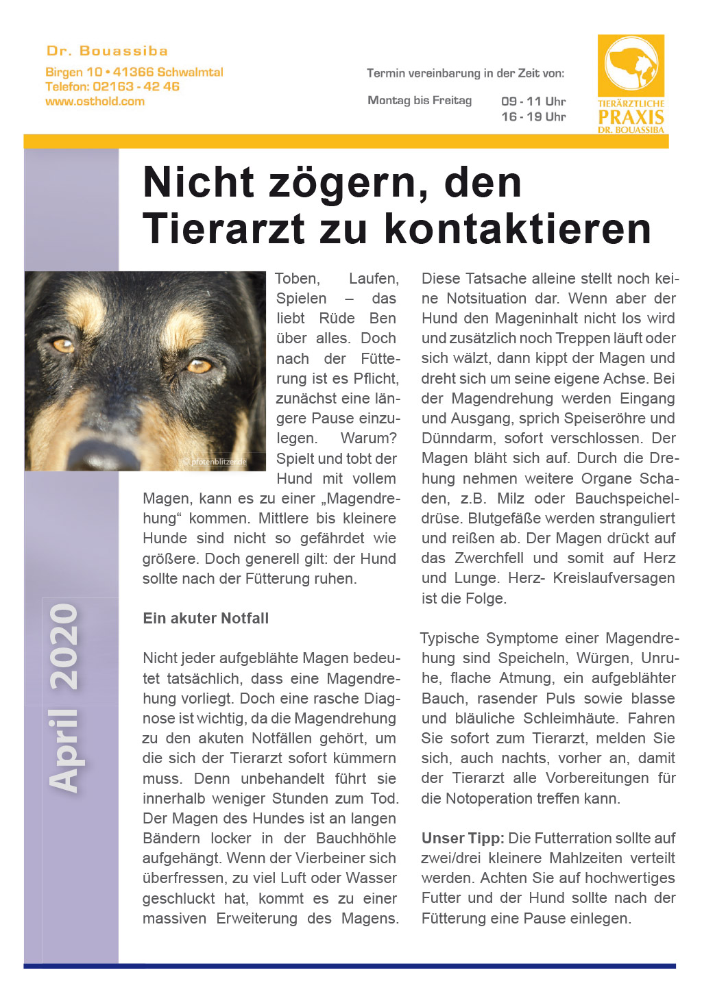 Tierpunkt April 2020