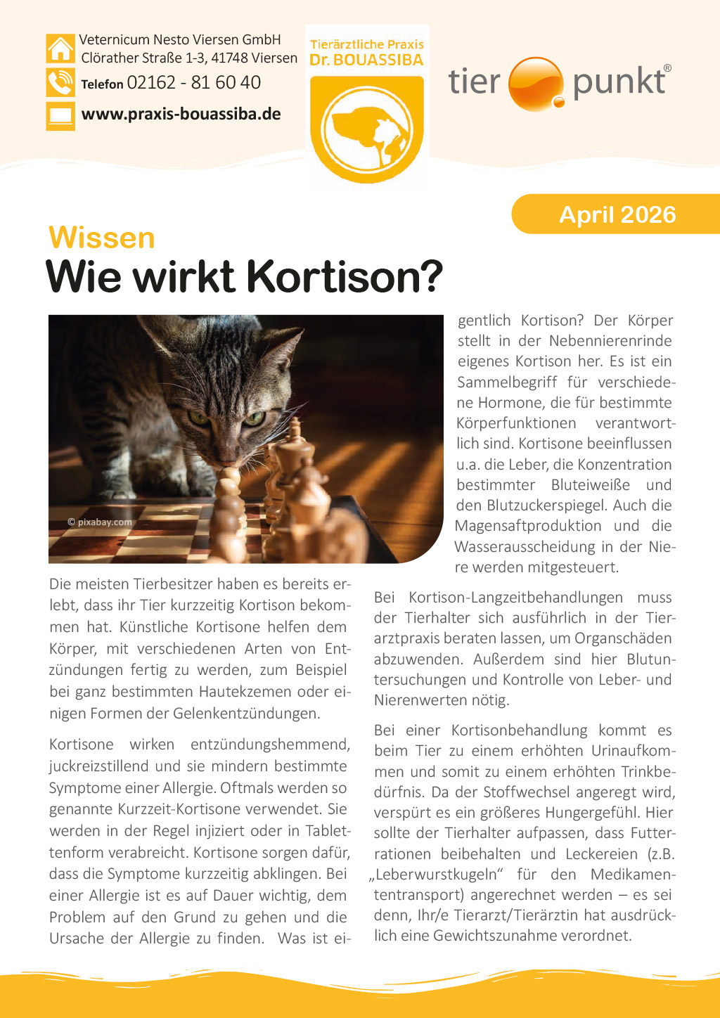 Tierpunkt April 2026