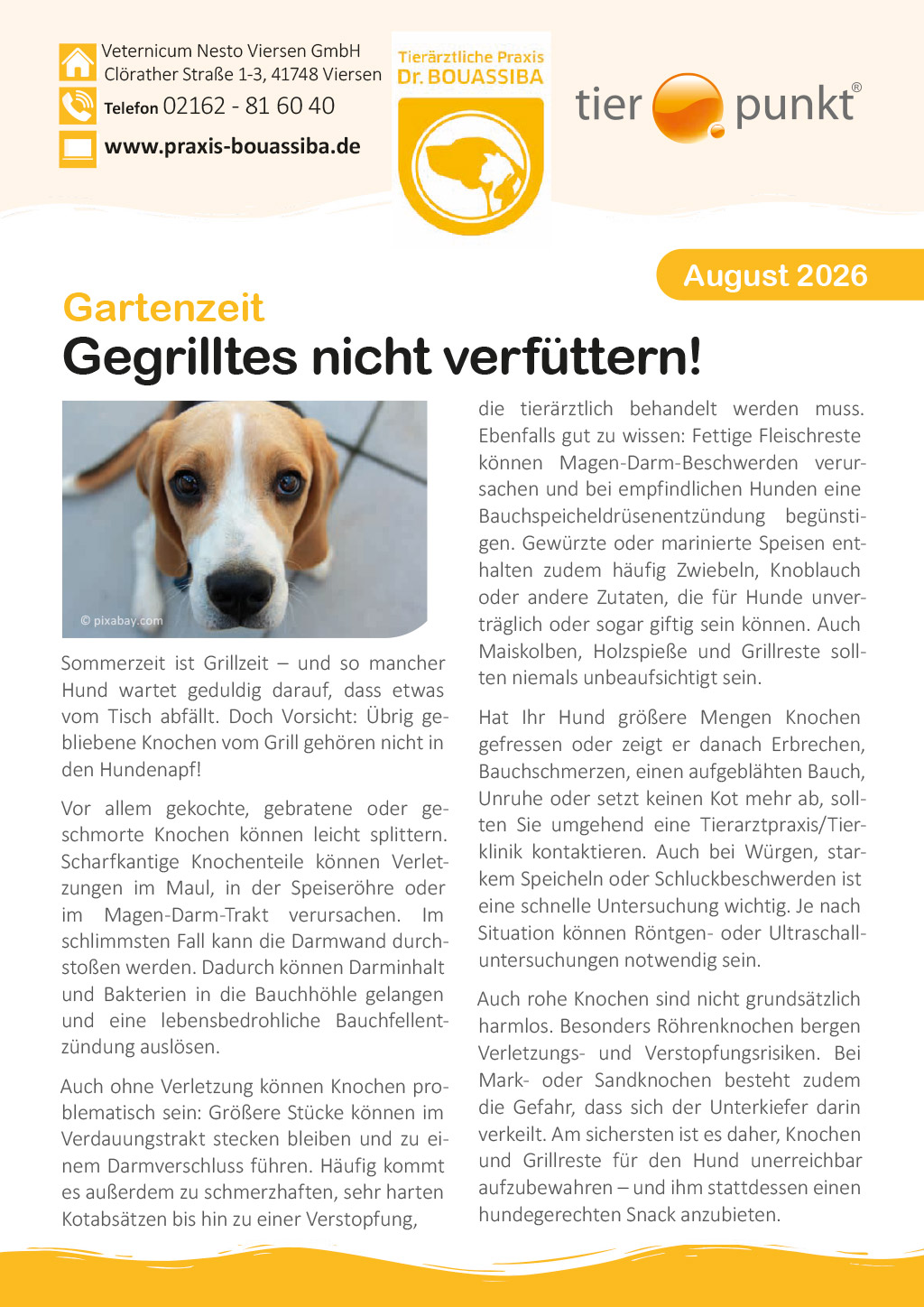 Tierpunkt August 2026