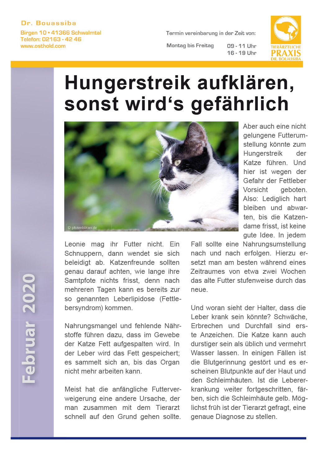Tierpunkt Februar 2020