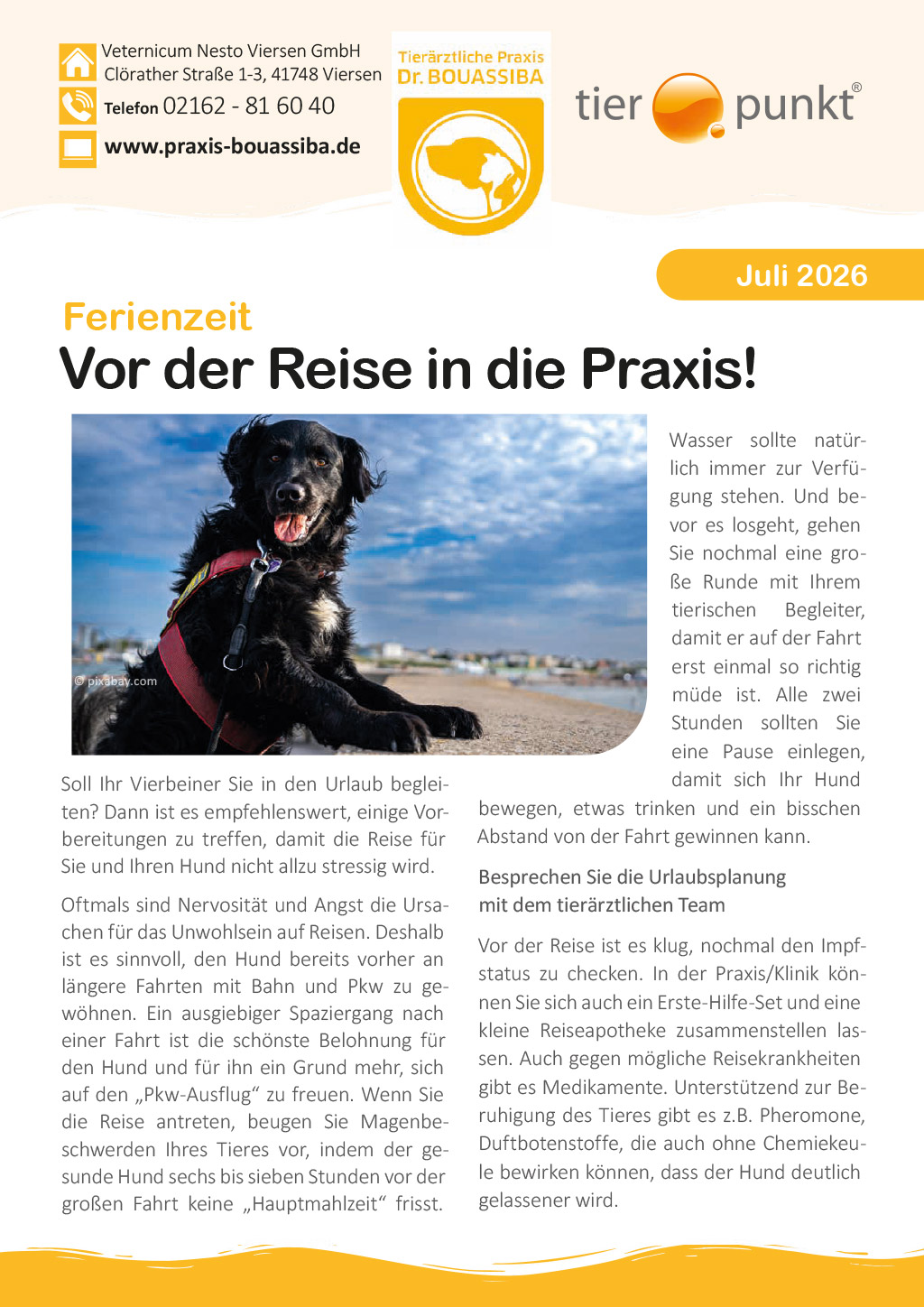 Tierpunkt Juli 2026