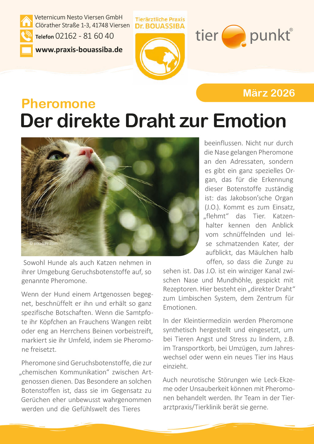 Tierpunkt Februar 2026