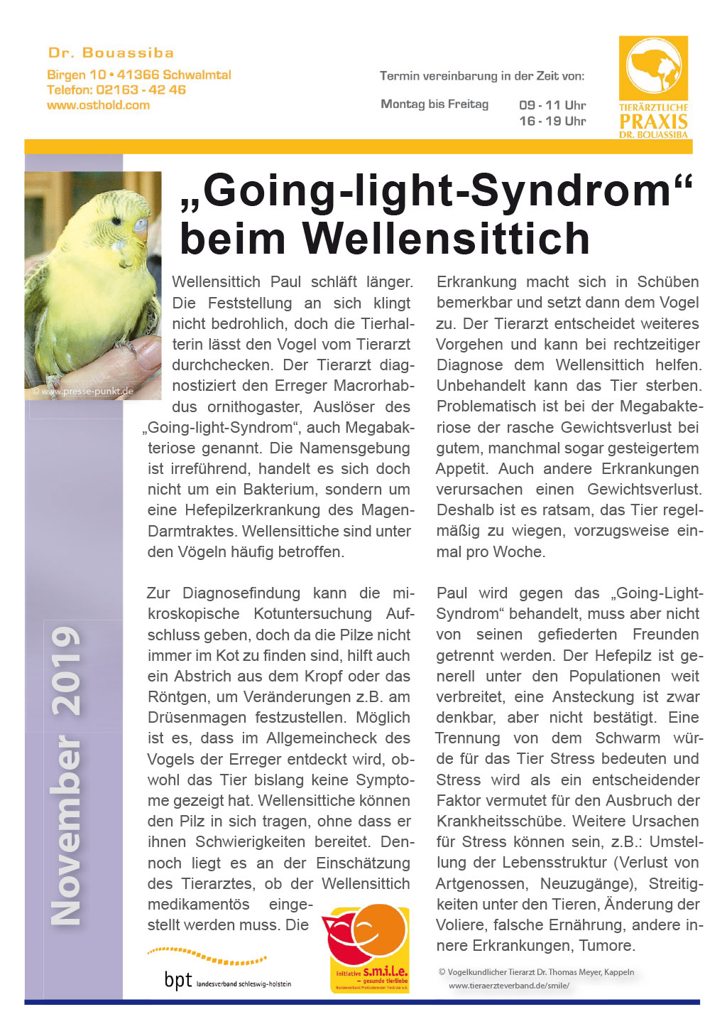 Tierpunkt November 2019