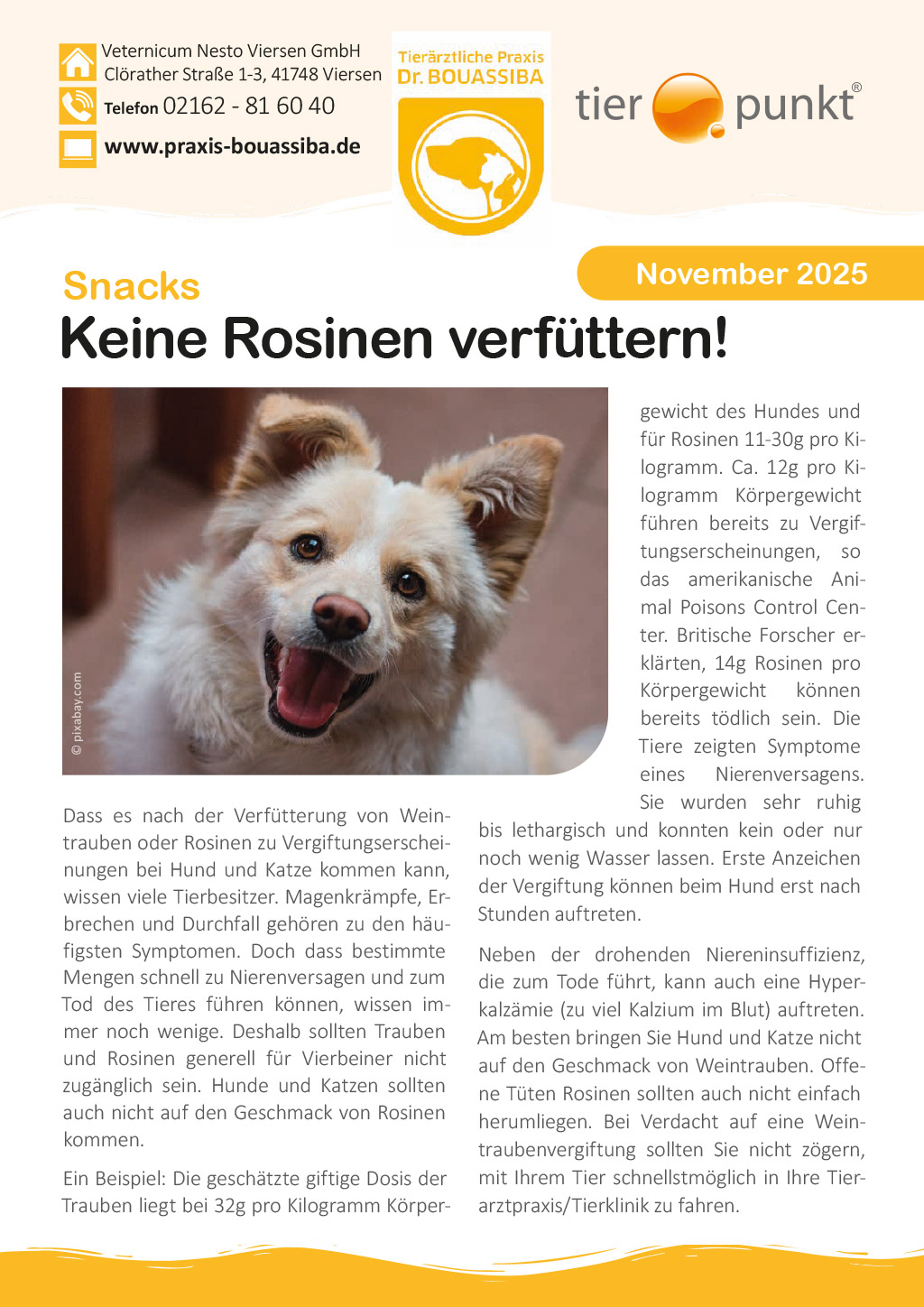 Tierpunkt November 2025