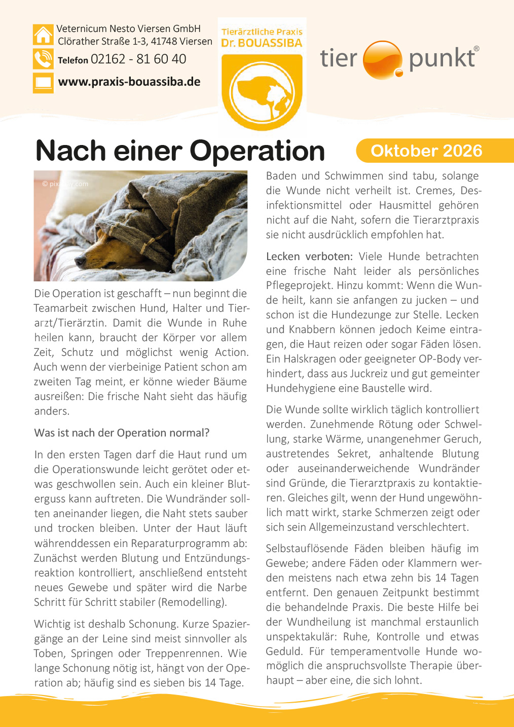 Tierpunkt Oktober 2026
