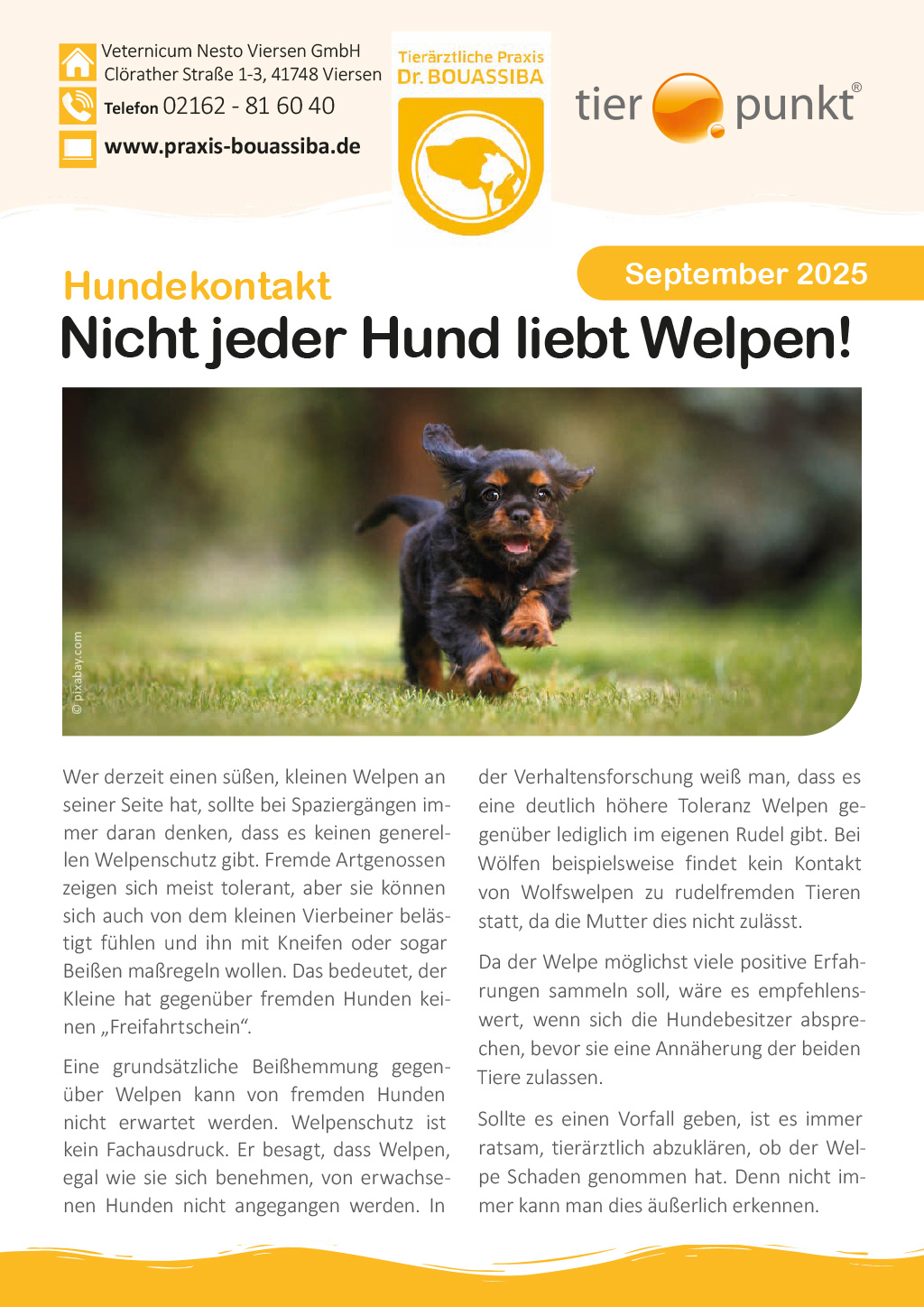 Tierpunkt September 2025